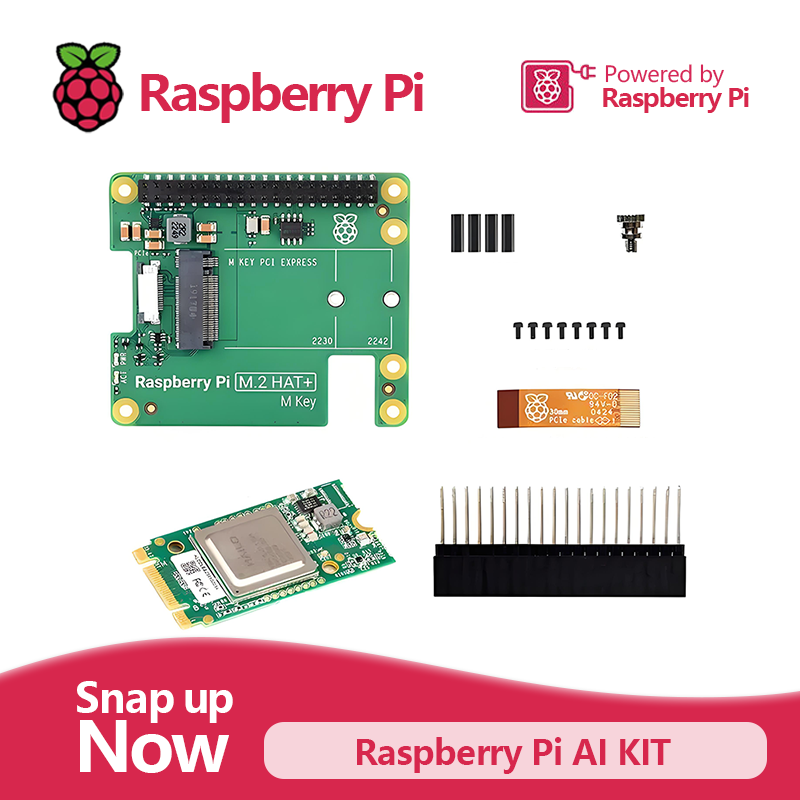 Kit AI Raspberry Pi menggabung - Raspberry Pi Ai Kit Hailo-8L ulasan dan harga